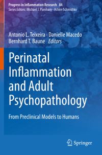 Book Cover for Perinatal Inflammation and Adult Psychopathology by Antonio L Teixeira, Danielle Macedo, Bernhard T Baune
