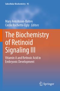 Book Cover for The Biochemistry of Retinoid Signaling III by Mary Ann AssonBatres, Cecile RochetteEgly