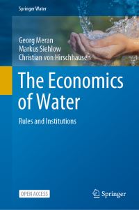 Book Cover for The Economics of Water by Georg Meran, Markus Siehlow, Christian von Hirschhausen