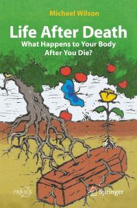 Book Cover for Life After Death by Michael Wilson