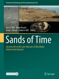 Book Cover for Sands of Time by Faysal Bibi, Brian Kraatz, Mark Beech, Andrew Hill
