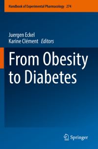 Book Cover for From Obesity to Diabetes by Juergen Eckel, Karine Clément