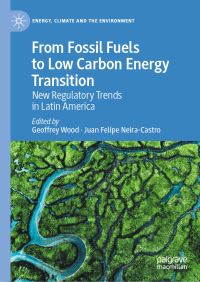Book Cover for From Fossil Fuels to Low Carbon Energy Transition by Geoffrey Wood, Juan Felipe NeiraCastro