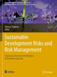 Book Cover for Sustainable Development Risks and Risk Management by Elena G Popkova