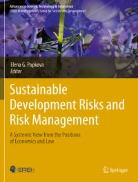Book Cover for Sustainable Development Risks and Risk Management by Elena G Popkova