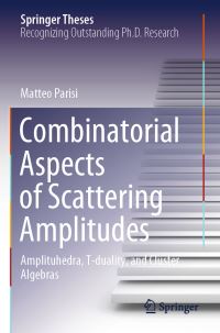 Book Cover for Combinatorial Aspects of Scattering Amplitudes by Matteo Parisi
