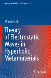 Book Cover for Theory of Electrostatic Waves in Hyperbolic Metamaterials by Afshin Moradi