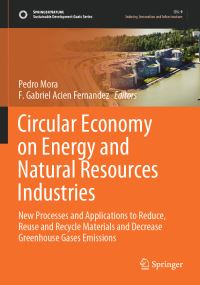 Book Cover for Circular Economy on Energy and Natural Resources Industries by Pedro Mora, F Gabriel Acien Fernandez