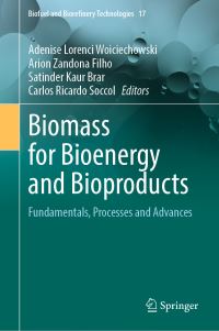 Book Cover for Biomass for Bioenergy and Bioproducts by Adenise Lorenci Woiciechowski, Arion Zandona Filho, Satinder Kaur Brar, Carlos Ricardo Soccol