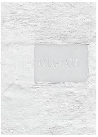 Book Cover for Dado by Selina Waldner