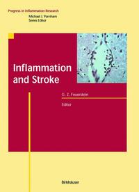 Book Cover for Inflammation and Stroke by Giora Z Feuerstein