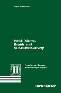 Book Cover for Braids and Self-Distributivity by Patrick Dehornoy