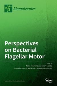 Book Cover for Perspectives on Bacterial Flagellar Motor by Tohru Minamino, Keiichi Namba