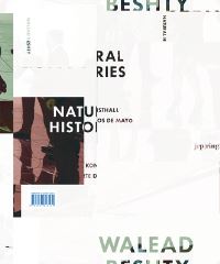 Book Cover for Walead Beshty by Nicolas Bourriaud, Suzanne Hudson, Bob Nickas