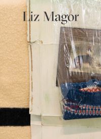 Book Cover for Liz Magor by Liz Magor, Dan Adler, Lesley Johnstone, Heike Munder, Bettina Steinbrügge