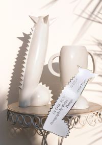 Book Cover for In the Summer of 2009 by Walter Pfeiffer, Walter Pfeiffer, Matteo Thun