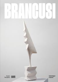 Book Cover for Brancusi by Constantin Brancusi