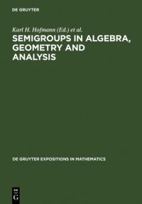 Book Cover for Semigroups in Algebra, Geometry, and Analysis by Karl Heinrich Hofmann, Jimmie D Lawson, E B Vinberg