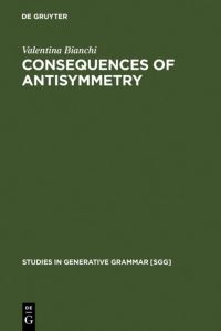 Book Cover for Consequences of Antisymmetry by Valentina Bianchi