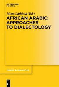 Book Cover for African Arabic by Mena Lafkioui