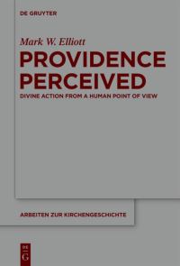 Book Cover for Providence Perceived by M W Elliott
