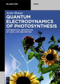 Book Cover for Quantum Electrodynamics of Photosynthesis by Artur Braun