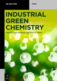 Book Cover for Industrial Green Chemistry by S Kaliaguine, JeanLuc Dubois