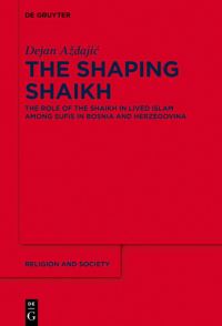 Book Cover for The Shaping Shaikh by Dejan Azdajic