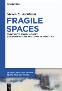 Book Cover for Fragile Spaces by Steven E Aschheim