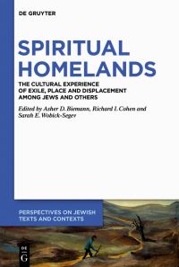 Book Cover for Spiritual Homelands by Asher D Biemann, Richard I Cohen, Sarah WobickSegev
