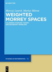 Book Cover for Weighted Morrey Spaces by Marcus Laurel, Marius Mitrea