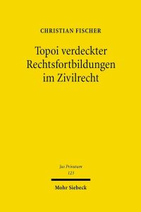 Book Cover for Topoi Verdeckter Rechtsfortbildungen Im Zivilrecht by Christian Fischer