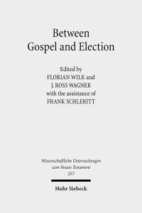 Book Cover for Between Gospel and Election by Florian Wilk, J Ross Wagner, Frank Schleritt
