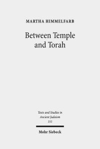 Book Cover for Between Temple and Torah by Martha Himmelfarb