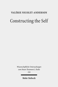 Book Cover for Constructing the Self by Valerie NicoletAnderson