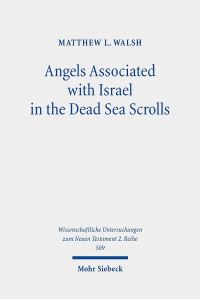 Book Cover for Angels Associated With Israel in the Dead Sea Scrolls by Matthew L Walsh