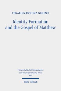 Book Cover for Identity Formation and the Gospel of Matthew by Tekalign Duguma Negewo