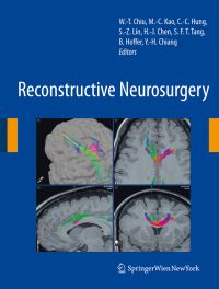 Book Cover for Reconstructive Neurosurgery by Wen-Ta Chiu