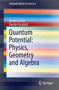 Book Cover for Quantum Potential by Ignazio Licata, Davide Fiscaletti