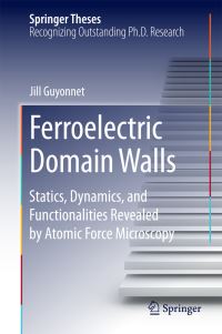 Book Cover for Ferroelectric Domain Walls by Jill Guyonnet