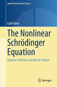 Book Cover for The Nonlinear Schrödinger Equation by Gadi Fibich