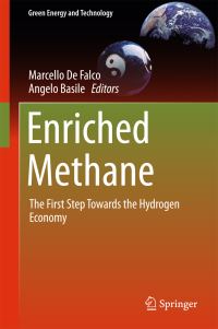 Book Cover for Enriched Methane by Marcello de Falco