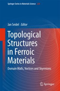 Book Cover for Topological Structures in Ferroic Materials by Jan Seidel