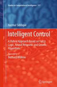 Book Cover for Intelligent Control by N H Siddique