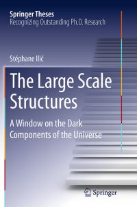 Book Cover for The Large Scale Structures by Stéphane Ilic