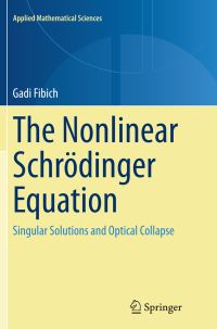 Book Cover for The Nonlinear Schrödinger Equation by Gadi Fibich