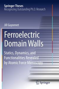Book Cover for Ferroelectric Domain Walls by Jill Guyonnet