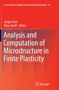 Book Cover for Analysis and Computation of Microstructure in Finite Plasticity by Sergio Conti, Klaus Hackl