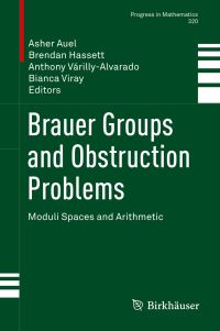 Book Cover for Brauer Groups and Obstruction Problems by American Institute of Mathematics