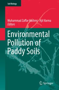Book Cover for Environmental Pollution of Paddy Soils by Muhammad Zaffar Hashmi, Ajit Varma